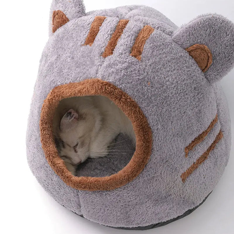 Cozy Cave