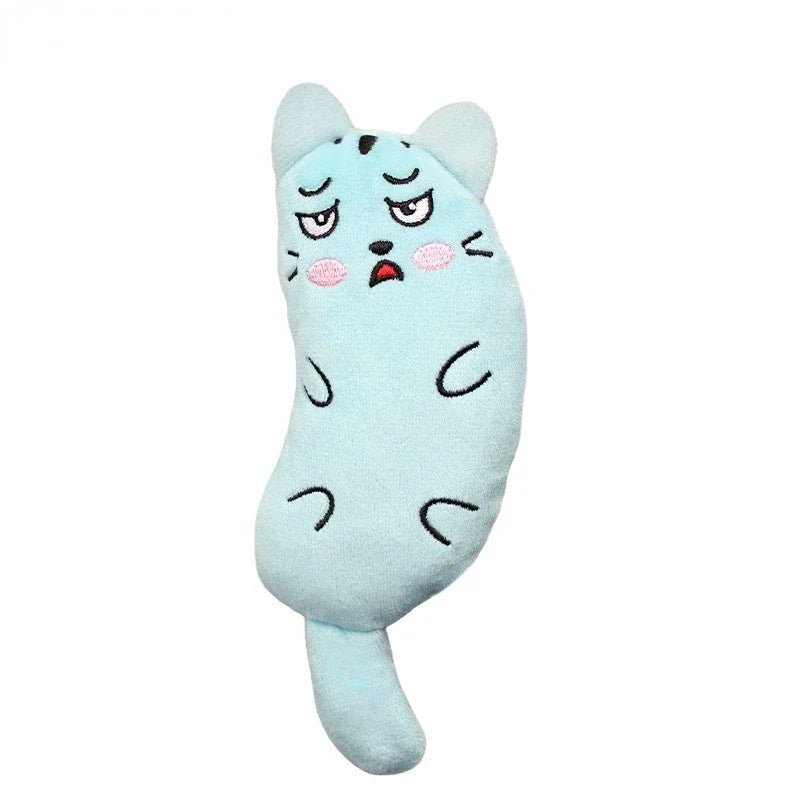 Cat Companion