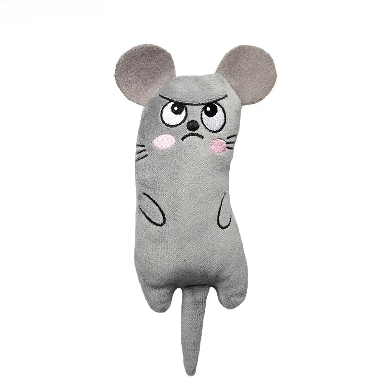 Cat Companion