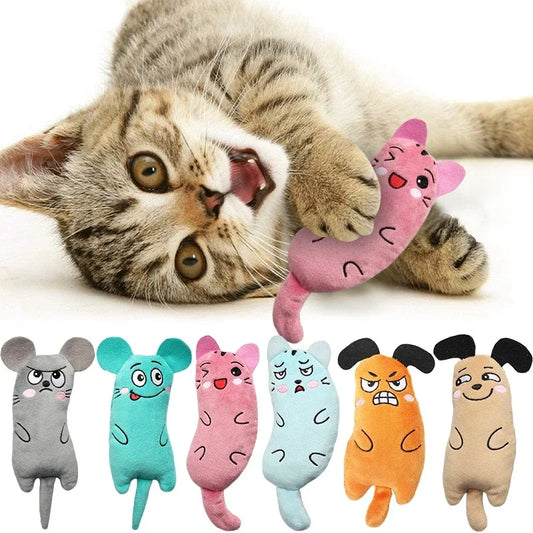 Cat Companion